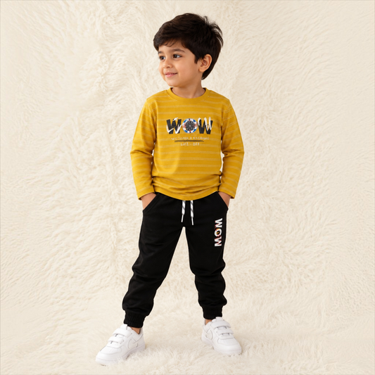 Boys Full Sleeve Tracksuit Set(1-5Years)
